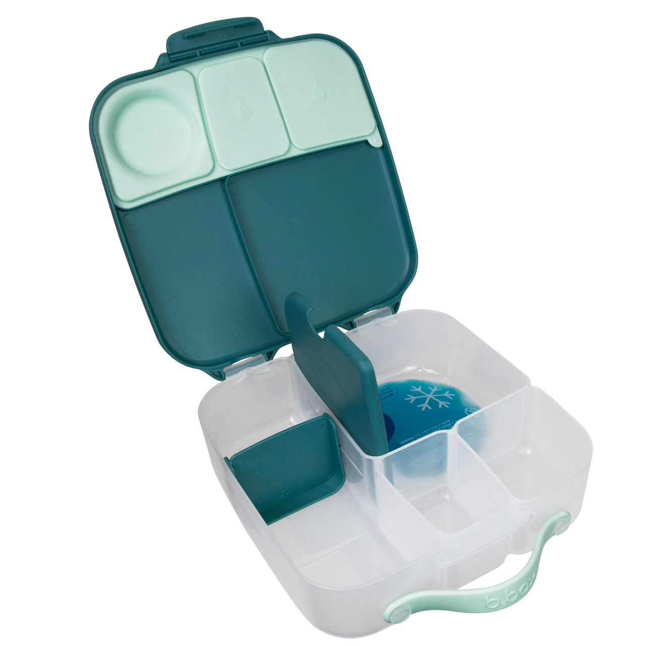 Lunchbox - Emerald Forest