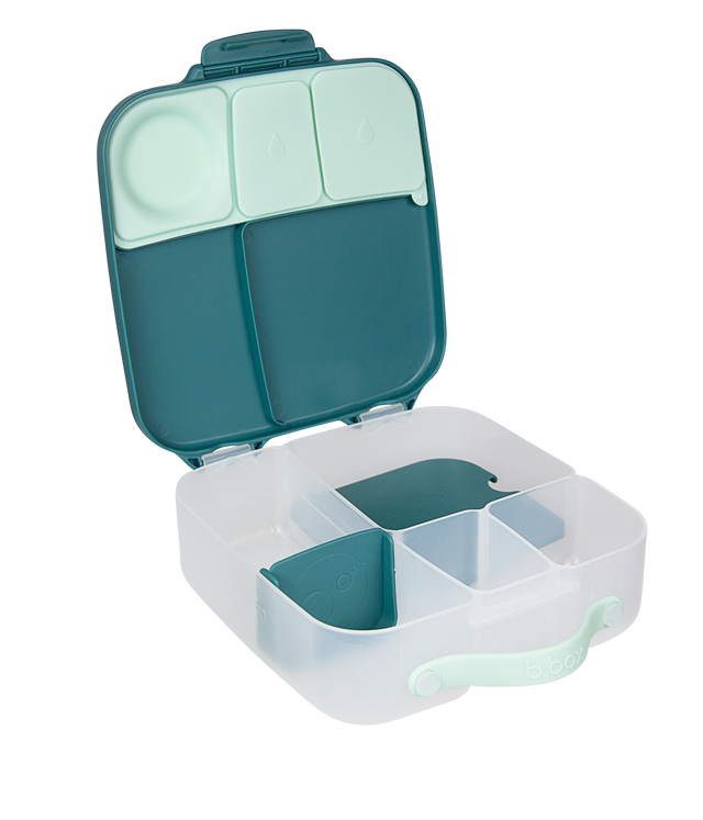 Lunchbox - Emerald Forest