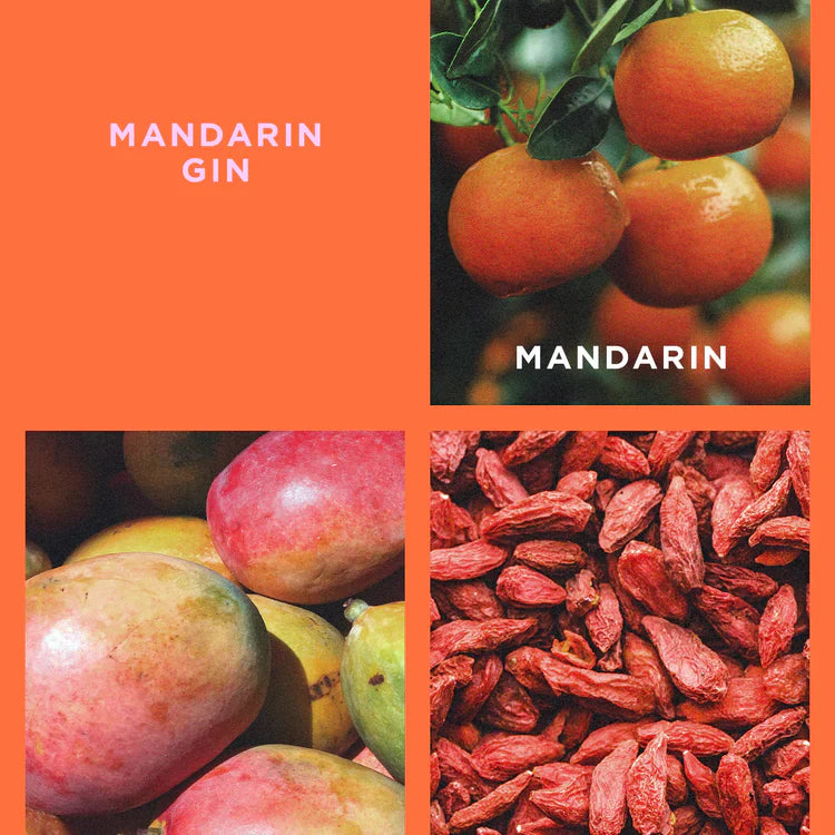 Reed Diffuser Mandarin Gin