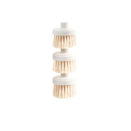 Brush Heads White x 3
