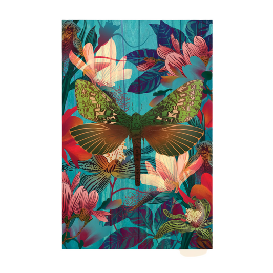 Card Puriri Moth & Floral