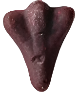 Magnet Aeroplanes Purple