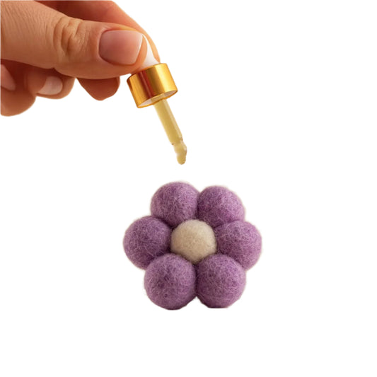 Car Diffuser Coconut Lime Purple