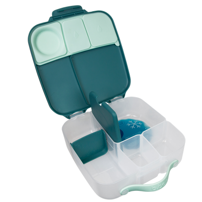 Lunchbox - Emerald Forest