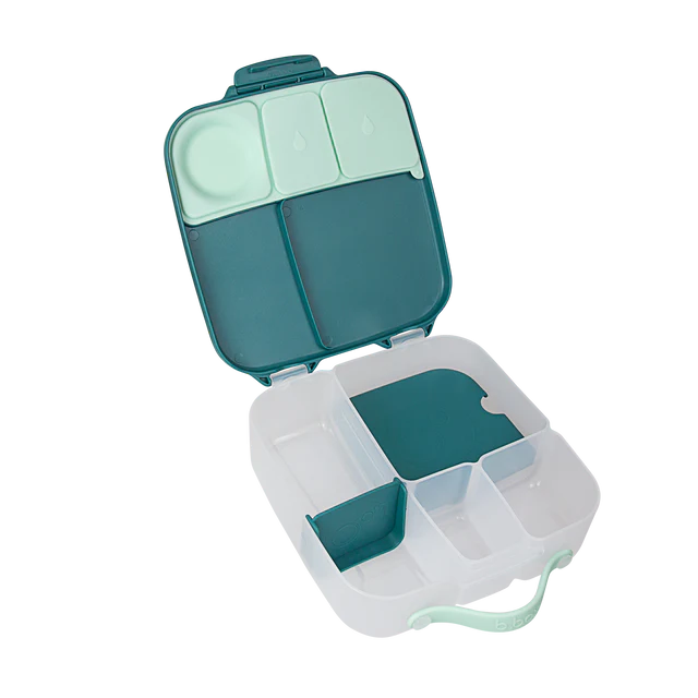 Lunchbox - Emerald Forest