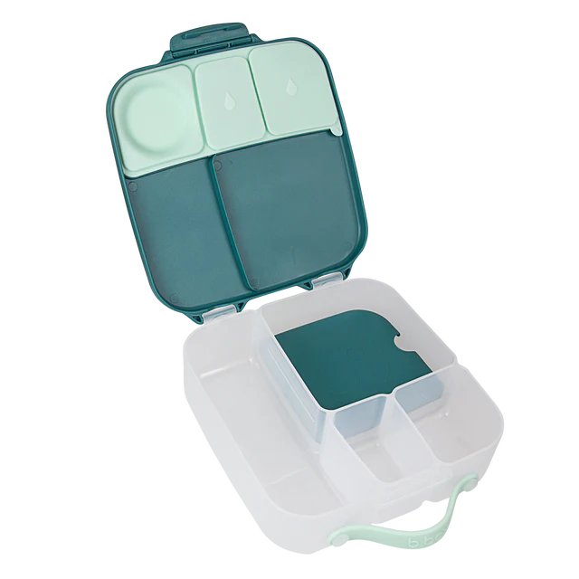 Lunchbox - Emerald Forest