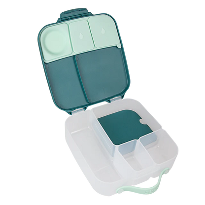 Lunchbox - Emerald Forest