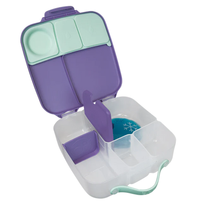 Lunchbox - Lilac Pop