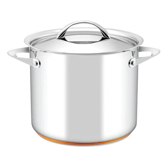 Essteele 24cm/9L Stockpot
