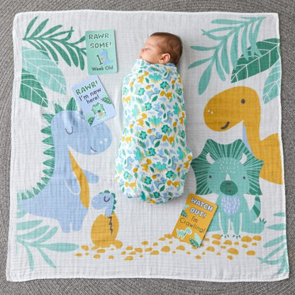 Dinosaurs Milestone Muslin Box Set