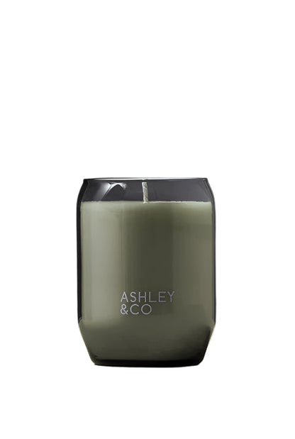 Waxed Perfume Parakeets & Pearls