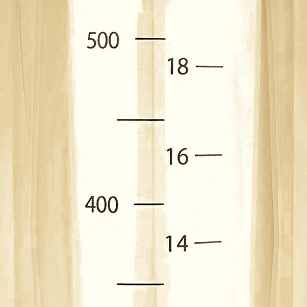 Salad Dressing Bottle Large 500ml