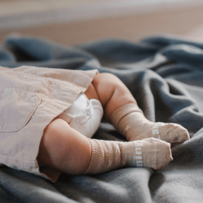 Merino Crew Socks - Ted